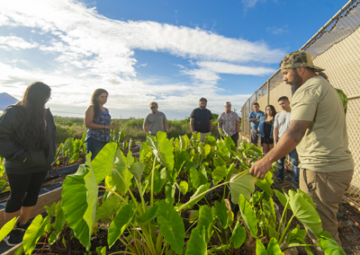 Sustainable Agriculture