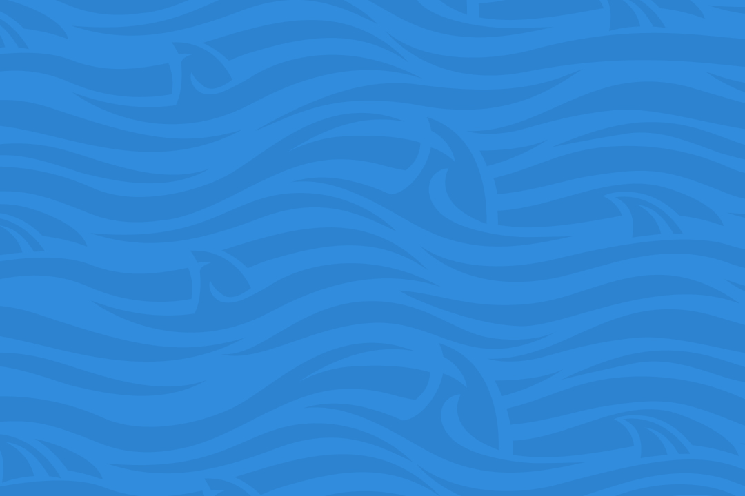 about_sharkpattern Leeward shark pattern design