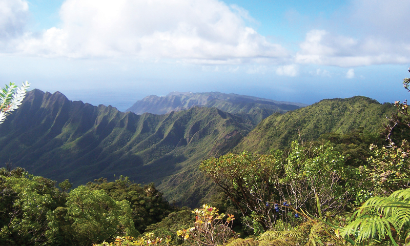 Mount Ka‘ala landscape