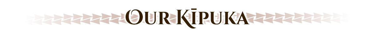 Kipuka pattern stripe