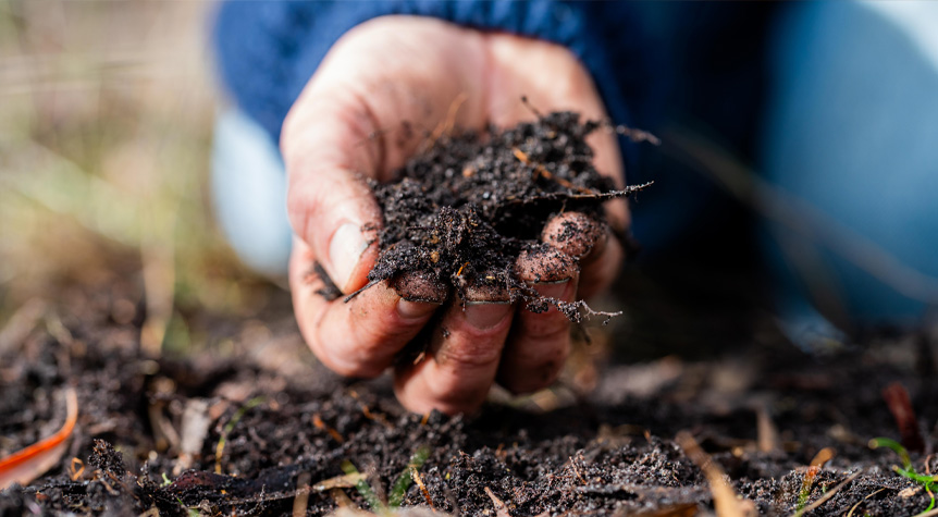 closeup of hand grabbing a fist full of dirt from farm